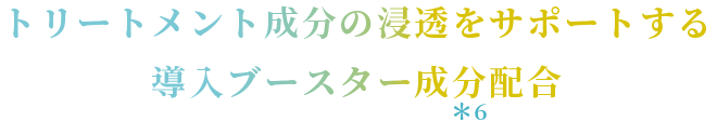 トリートメント成分の浸透をサポートする導入ブースター成分配合